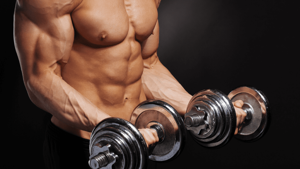 build muscle biceps 