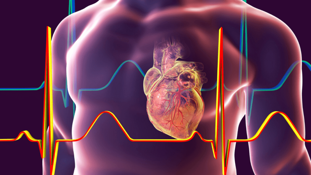 cardiac output and stroke volume